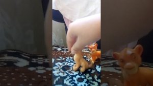 Обзор свит боксов король лев