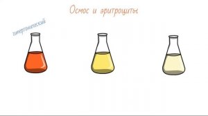 Диффузия и осмос