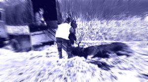 ОХОТА. ЗАГОННАЯ ОХОТА. ЛОСЬ. Прицелы Yukon RT 4.5x42 и Digisight Ultra 455.