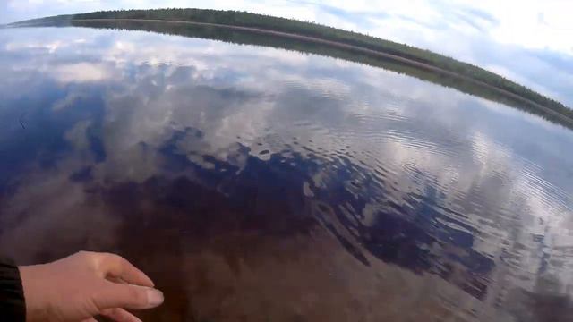 НА ЭТОЙ ОТМЕЛИ ПРОСТО ТЬМА КАРАСЯ!!КАРАСЬ НА ПОПЛАВОЧКУ!! смотреть онлайн