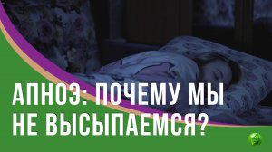 Почему мы не высыпаемся?