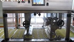 Линия производства глазированный батончик на основе кокосовой массы http://svcraft.ru