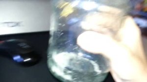 поймали осу в банку