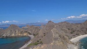 КОМОДО / KOMODO / НАЦИОНАЛЬНЫЙ ПАРК КОМОДО / NATIONAL PARK KOMODO / ИНДОНЕЗИЯ / INDONESIA / ВАРАНЫ