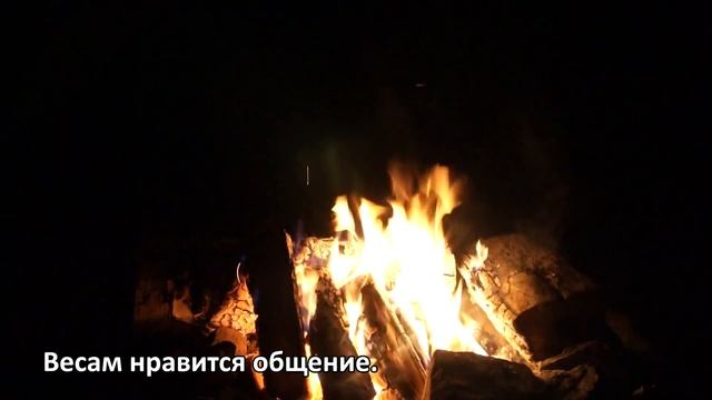 Что нравится ВЕСАМ в любви? смотреть онлайн