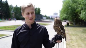 Домашние животные Сова