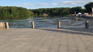 Друг пригласил в гости девушку,ничего не подозревая согласилась.Интересные истории.Жизненные истори