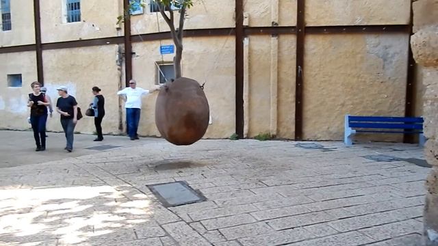 Израиль.Висячее дерево.)DSCN3226 смотреть онлайн