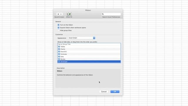 Enable Developer Tab In Excel For Mac | Enable Macros