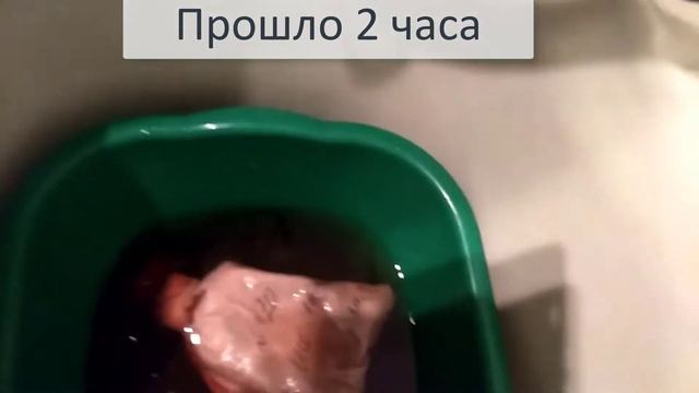 Выращивание рассады томатов без пикировки