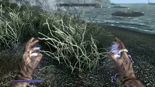 Skyrim netch glitch смотреть онлайн