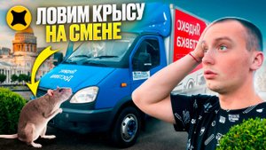 ЯНДЕКС ГРУЗОВОЙ НОЧЬЮ|БОЛЬШОЙ КУЗОВ В ПОЛНОМ БРЕНДЕ|ЛУЧШЕ СПАТЬ #яндексгрузовой