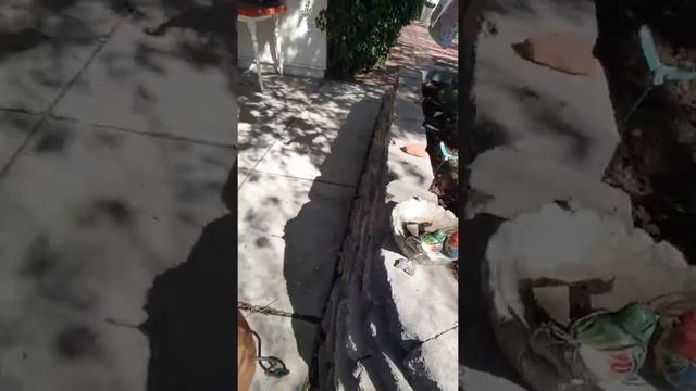 Garden takeover! 2 of 2 смотреть онлайн