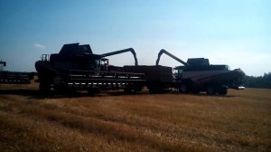harvester RSM-161 Кубань в Липецке часть 3.mp4