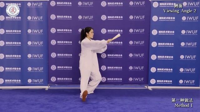 Тайцзицюань (Тайцзичжан - ударная техника Тайцзи)