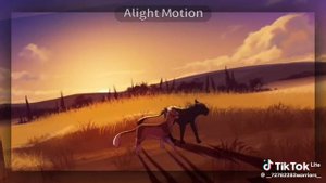 коты воители 💓💓💓💓❤️