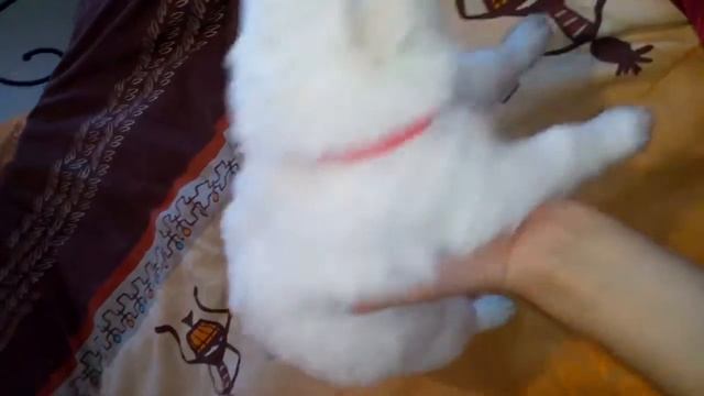 Сибирское Солнце Оригами - 3 недели смотреть онлайн