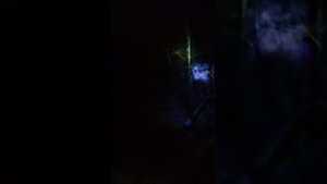 Ночная рыбалка. Боуфишинг с арбалетом "Скаут"