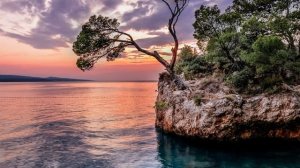 ПЛЕМЯННИК с ТЕТЕЙ остались дома одни / история из жизни