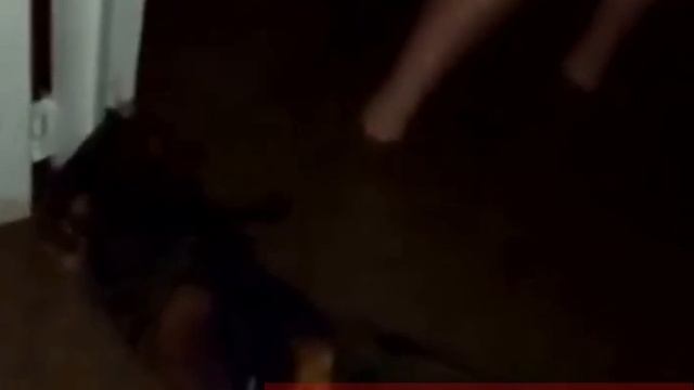 Эвакуация жителей Приозёрного в 5 утра