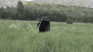 Группа "ОБЛАЧНЫЙ КРАЙ". АРИЯ ВАРЯЖСКИХ ГОСТЕЙ (2011 г.)