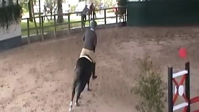 Comtessa Arrayanes 2nd year смотреть онлайн