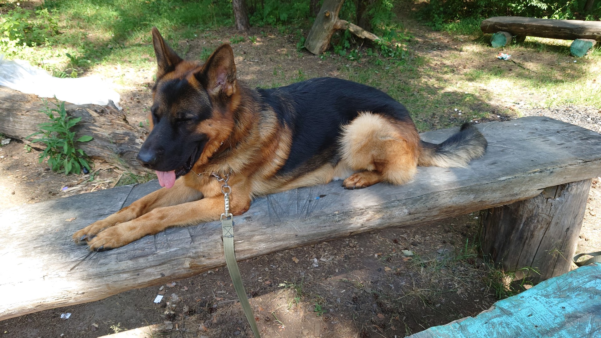 БАРС II В ИЮНЕ 2023 г смотреть онлайн