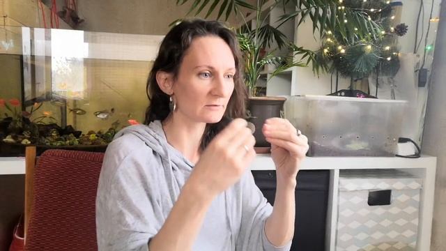 Секрет влияния камней на человека.