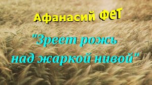 Афанасий Фет стихотворение "Зреет рожь над жаркой нивой"