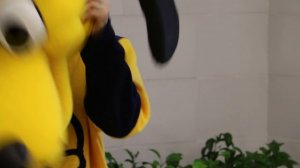 Голова ростовой куклы собака Плуто готовая