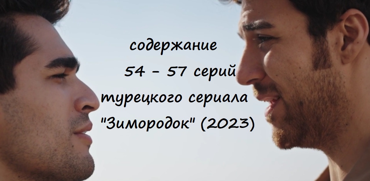 Содержание 54, 55, 56 и 57 серии турецкого сериала "Зимородок" (РФ, 2023)
