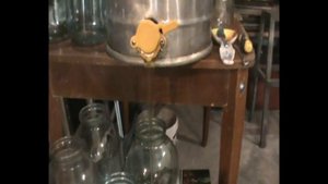 Как быстро разлить мёд? | 117. 00