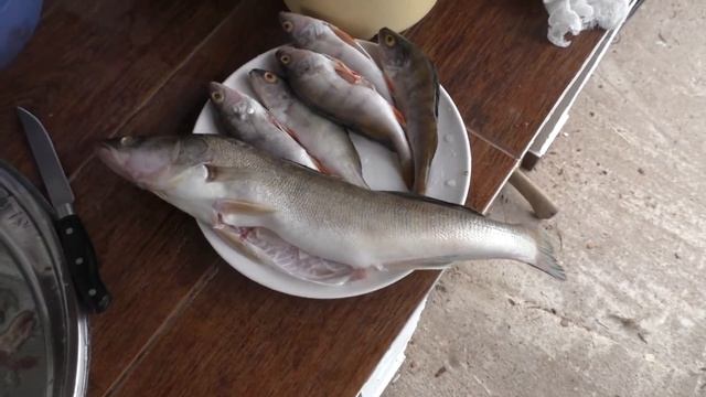 Готовим жаркое, уху, шашлыки в нашем барбекю-комплексе. смотреть онлайн