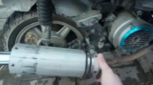 Nexus Falcon Чехов