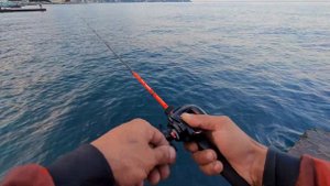 BFS. Ультралайт кастинг. Бейткастинг на море.