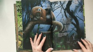 Ида: Взгляд из прошлого - Йорн Хюрум