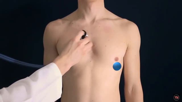 техника аускультации сердца смотреть онлайн