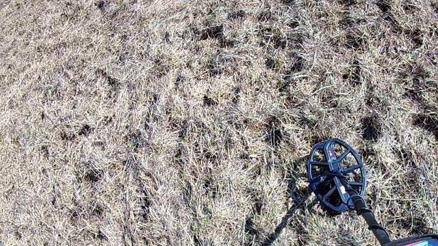 ТОП НАХОДКИ Первый выход на Коп 2021 С металлоискателем Minelab VANQUISH 540 PRO-PACK Ванквиш 540 смотреть онлайн