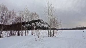 Весенняя прогулка в пасмурный день