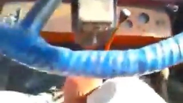 Трактор Т-25 и дисковая борона
