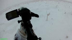 Охота на лис: крепкий сон! (CZ-527, 223 rem.)
