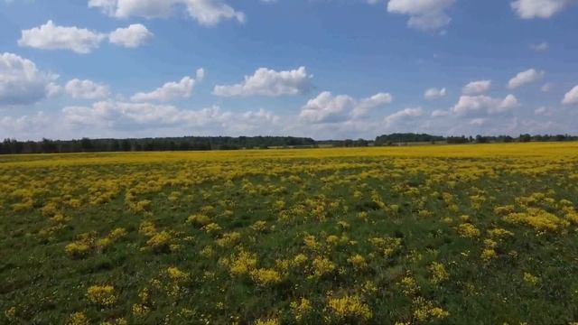 Вологда, май 2021 смотреть онлайн