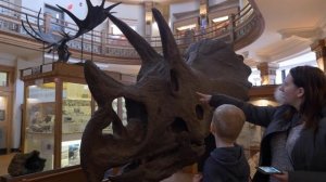 VLOG! Идём в музей смотреть скелеты динозавров Redpath Museum Montreal