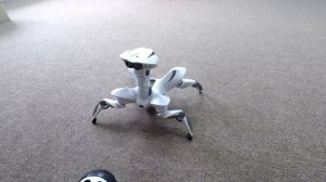Robot WowWee Roboquad