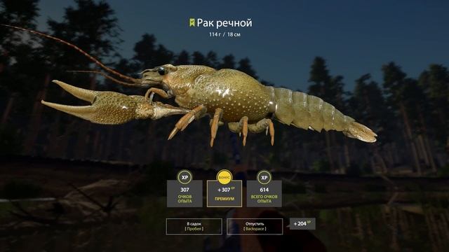 РАК РЕЧНОЙ - Точка клёва на Вьюнке ? РР4