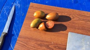 Помидоры ЗУБ КАБАНА. BOARS TOOTH TOMATO