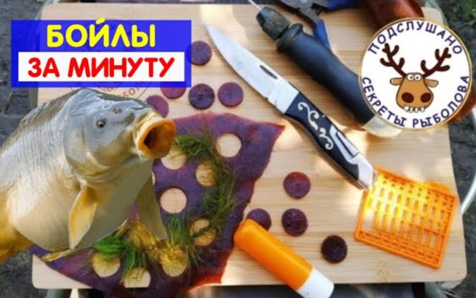 Бойлы на сазана за минуту своими руками