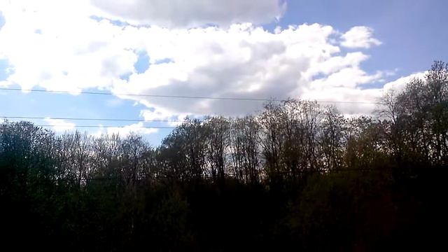 пение птиц смотреть онлайн