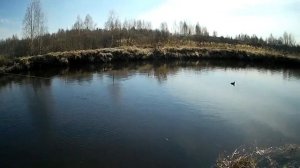 Весенний ход рыбы! Река Пра!