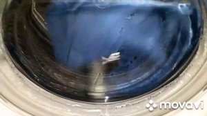 СТИРКА КОВРИКОВ ? | СИНТЕТИКА 60° + ПРЕДВАРИТЕЛЬНАЯ СТИРКА | ОЧЕНЬ КРЯЗНЫЕ КОВРИКИ ?